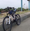 tsaifeng