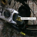 longtir