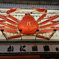 六師弟