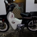 zxc335553