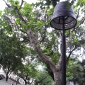費昂子