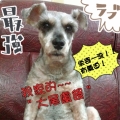 瘋狂流