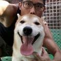 哎呦我去