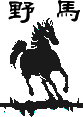 bronc