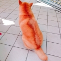 vernafang