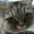 vickyQ