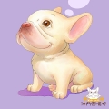 poo0611