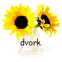 dvork