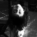 鬧人兒
