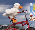 Jason.duck