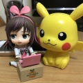 笨冰