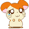antpost