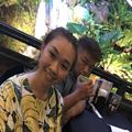 五隻小老鼠