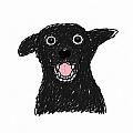 PetBaby