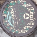 Aoi666