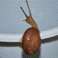 ddtno0208