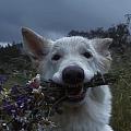 751