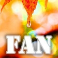 fan0812