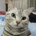 onezi