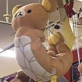 sun865717