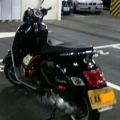 Snake8893