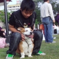 萸小小
