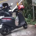 常飛