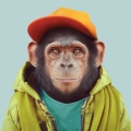 toperxyz
