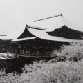 寺原隼人