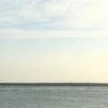 HSIN.919