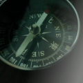 change310
