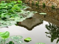 Nathan_Tseng