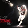 gostanford