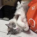 Huangtzu
