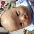 趴趴暴力熊