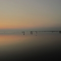 robihin