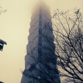 dayswell_kevinlin