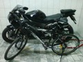 gn02594917