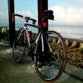 CYLEE1128