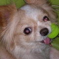 Nino_117