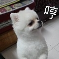 許惟傑