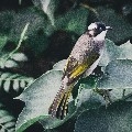 Tom771222