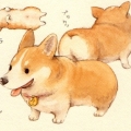 王佳郁