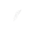 Ghost-T