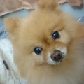 liveeddie0312