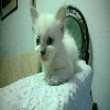 princess327a