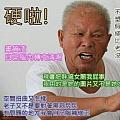 dostw2004