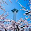 東東isAce
