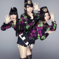 野人2012