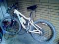 kenw1200